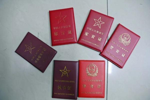 博一论坛白菜大全